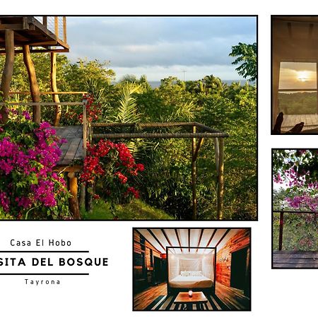 サンタ・マルタ La Casita Del Bosqueヴィラ エクステリア 写真