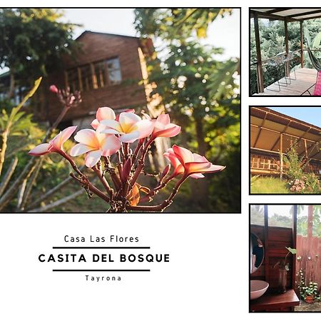 サンタ・マルタ La Casita Del Bosqueヴィラ エクステリア 写真