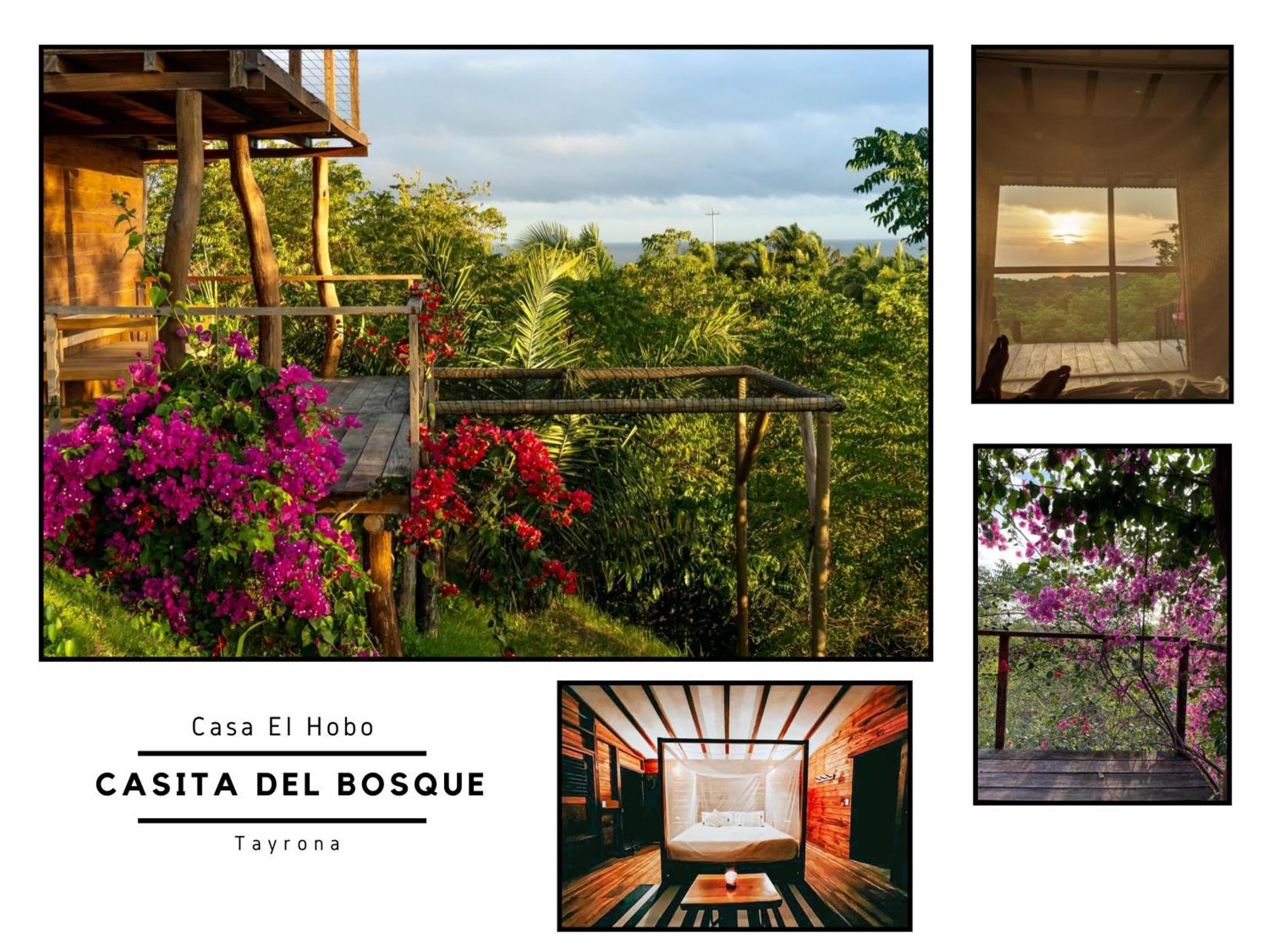 サンタ・マルタ La Casita Del Bosqueヴィラ エクステリア 写真