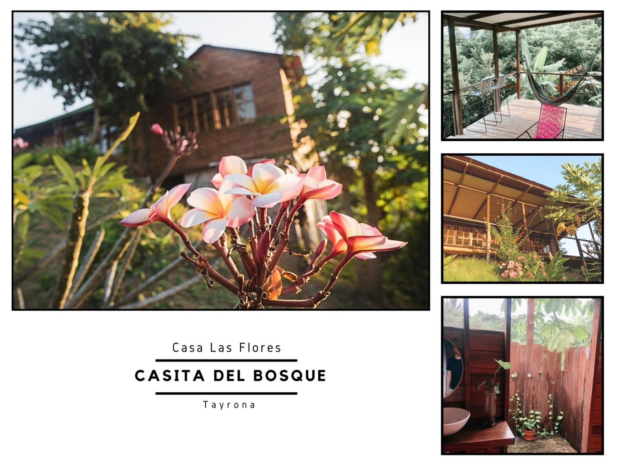 サンタ・マルタ La Casita Del Bosqueヴィラ エクステリア 写真