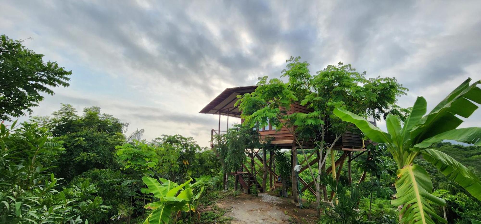 サンタ・マルタ La Casita Del Bosqueヴィラ エクステリア 写真
